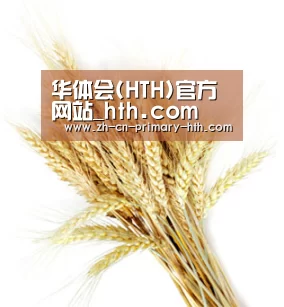 华体会(HTH)官方网站_hth.com