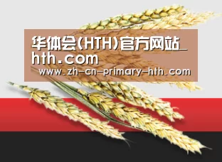 华体会(HTH)官方网站_hth.com