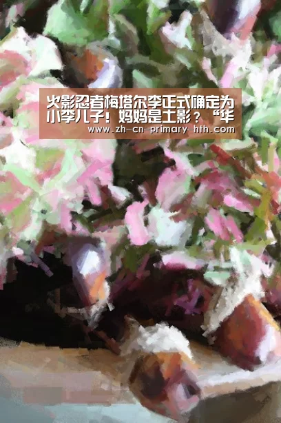 火影忍者梅塔尔李正式确定为小李儿子!妈妈是土影?“华体会官方网站入口”(图1) 华体会官方网站入口