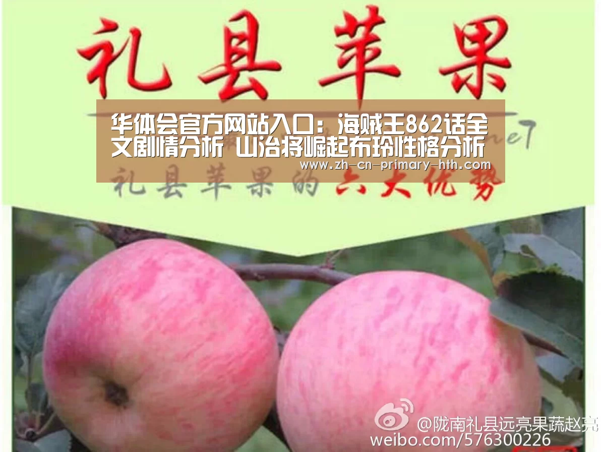 华体会官方网站入口:海贼王862话全文剧情分析 山治将崛起布玲性格分析(图1) 华体会官方网站入口