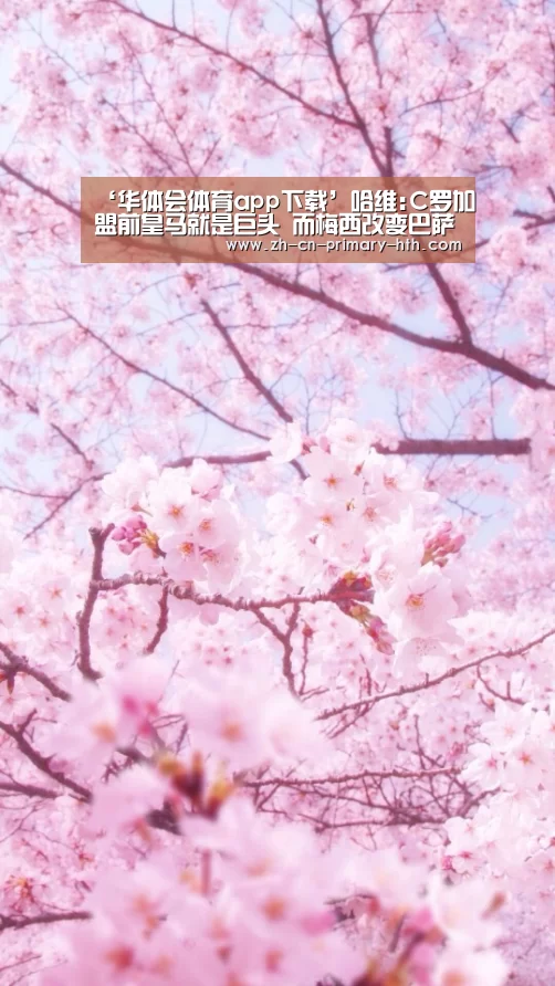 华体会体育app下载