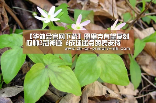 华体会体育app下载