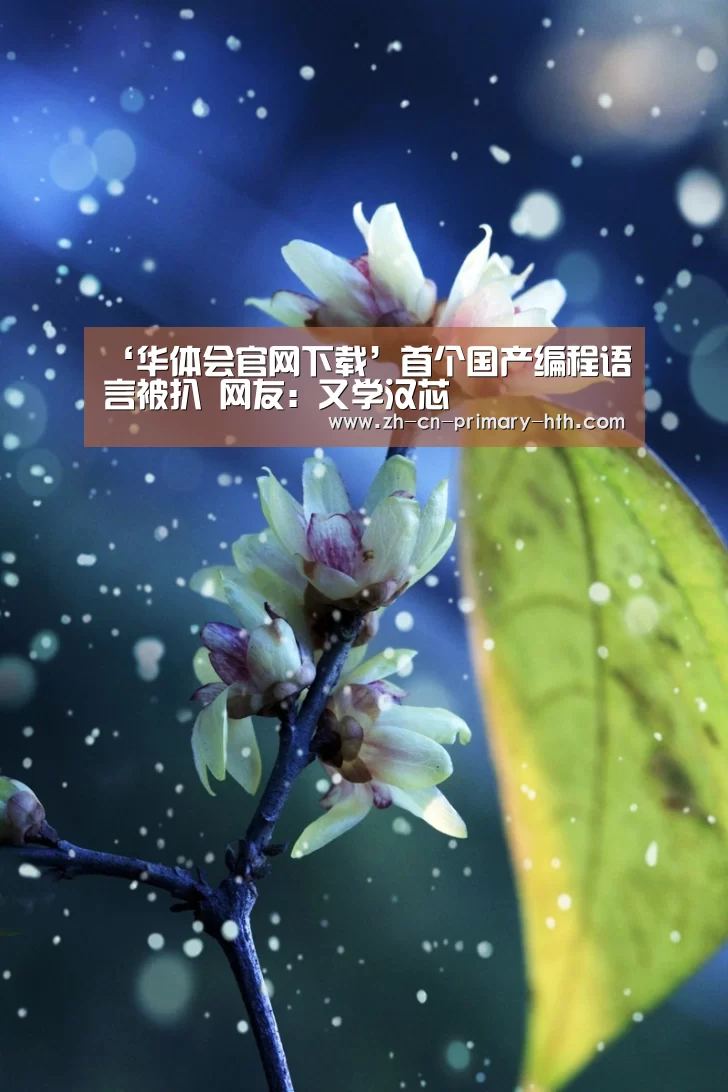 ‘华体会官网下载’首个国产编程语言被扒 网友:又学汉芯(图3) 华体会官方网站入口