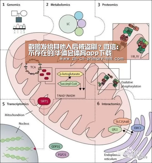 截图发给其他人后被盗刷?微信:不存在的|华体会体育app下载(图3) 华体会官方网站入口