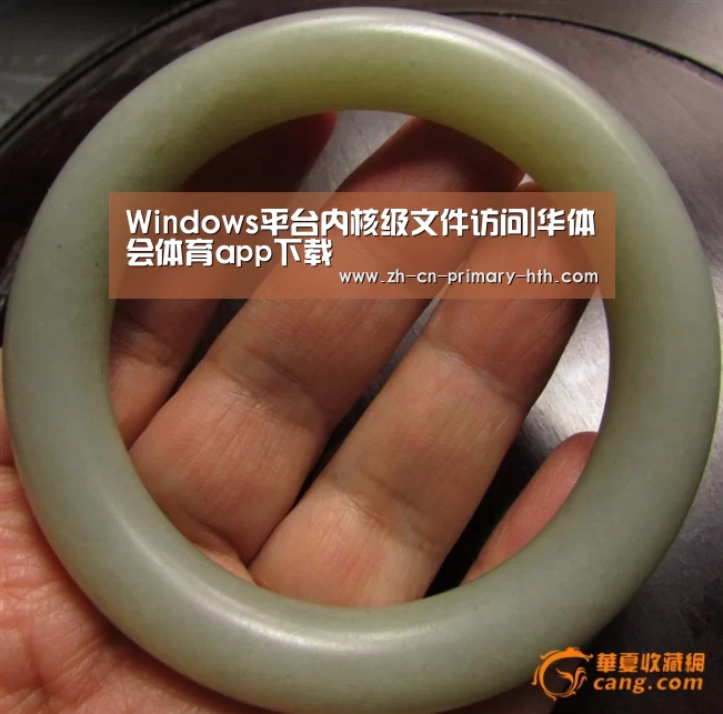 Windows平台内核级文件访问|华体会体育app下载(图1) 华体会官网下载