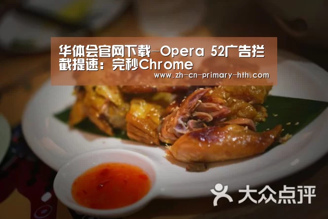 华体会官网下载-Opera 52广告拦截提速:完秒Chrome(图3) 华体会官方网站入口